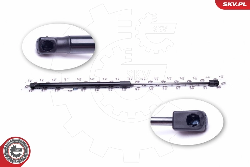 Gas Spring, boot/cargo area